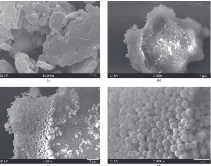 Figure 2. Scanning electron micrographs at different magnifications of sample B2-PEG: a) 10000× b) 3000× c) 7500× d) and 20000×.