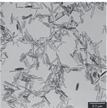 Figure  10. TEM image of fibrillar pseudoboehmite crystals from a 168 h  aged sol used as precursor.