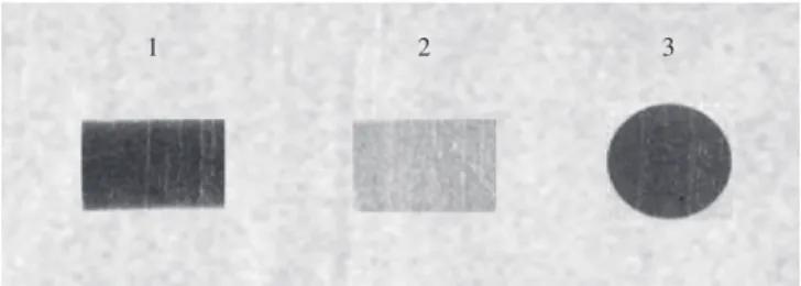 Figure 4. X-ray opacity of COOL formulation A 1) in comparison to Refobacin ® ; 2) and titanium specimen; and 3) (exposure time 0.5 seconds).