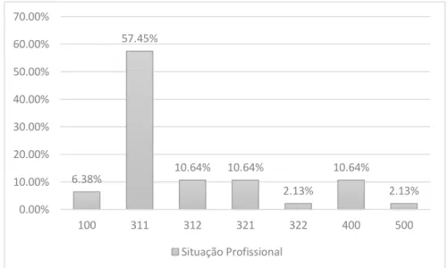 Figura 17 - Distribuição percentual dos trabalhadores entrevistados por situação profissional 