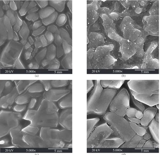 Figure 8. SEM pictures of calcium polyphosphate surface before and after degradation in different testing solution: a) before degradation in Tris-HCl solution,  b) after degradation in Tris-HCl solution, c) before degradation in citric acid solution, and d