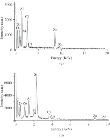 Figure 7. (a) EDS spectrum that shows the compositional energy peaks of  zinc, aluminum and oxygen of the ZnAl 2 O 4  films and (b) the compositional  spectrum energy peaks of calcium and phosphorus elements of the  mineral-like tissue deposited by osteobl
