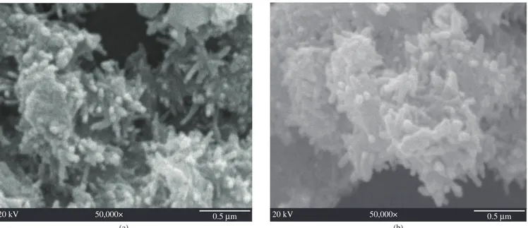 Figure 5 and Table 1 show that synthesized nanorods in phase  LCR60 are narrower than those obtained in phase LCR100