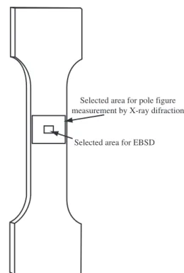 Figure 1.   σ฀ ×  ε  curves for samples deformed 10, 20% and up to rupture.