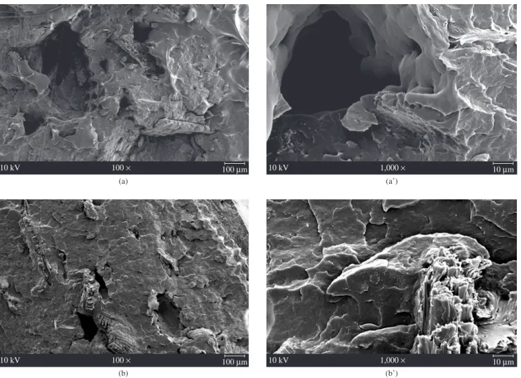 Figure 7. SEM micrographs of brittle-fractured surfaces of composites with 20 wt. (%) RHF:  a) without MAPP; b) with MAPP.