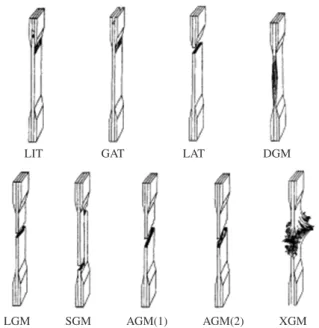 Figure 1. Representation of some typical failure modes and codes observed  in tensile tests of composites (9) .