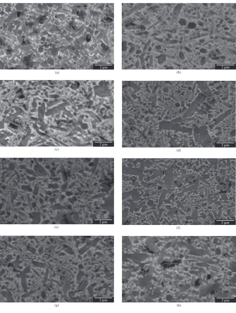 Figure 2. Scanning electron micrographs of plasma-etched silicon nitride-based ceramics with different additives  (9 wt