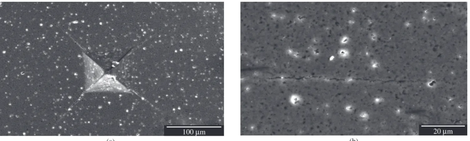 Figure 3. Typical scanning electron micrographs of: (a) Vickers indent; (b) propagating crack in silicon nitride based ceramics.