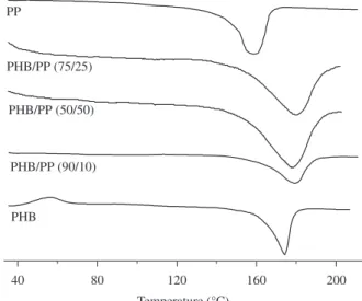 Figure 1. DSC profiles of PHB, PP and PHB/PP blends.