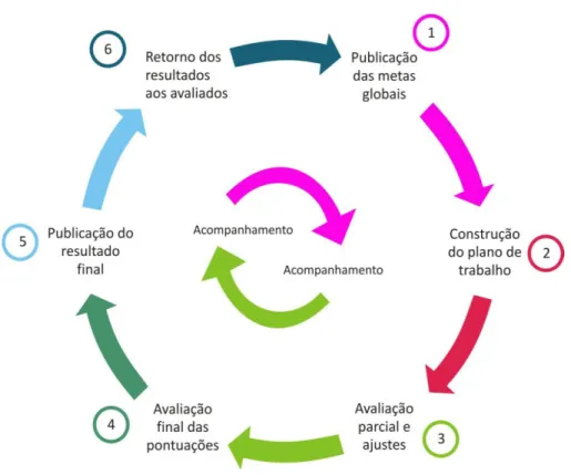 Figura 3. Ciclo de avaliação de desempenho 