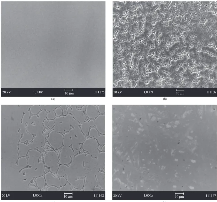 Figure 1. SEM surfaces micrographs of titanium specimens immersed in various solutions, as indicated in the text.