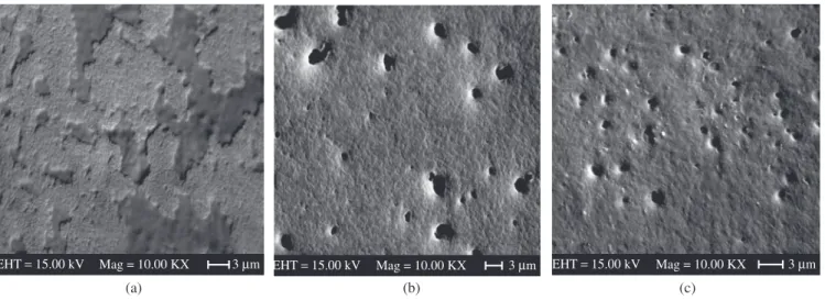 Figure  1  shows  typical  SEM  images  of  membranes  polymer- polymer-ized  at  different  temperatures