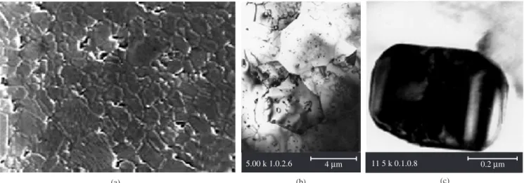 Figure 4. a) SEM, b) TEM images of Al 2 O 3 /SiC nanocomposites; and c) TEM (high magniication) showing a SiC grain [reproduced from references 103, 104  with the kind permission of the authors, Elsevier].