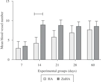 Figure 6. Histomorphometrical analysis of angiogenesis on the grafted areas. 