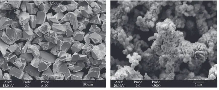 Figure 1. SEM micrographs of the starting powders a) WC and b) Ni.