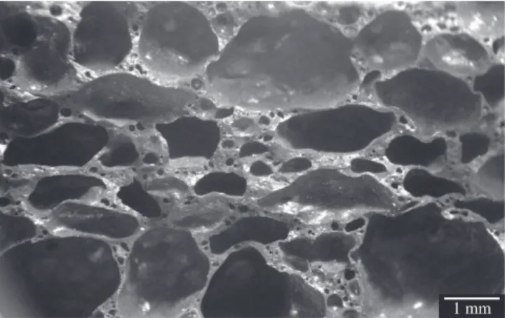 Figure 6. SEM micrograph of a 100% residue ceramic sample after  compaction and firing to 1250 °C.