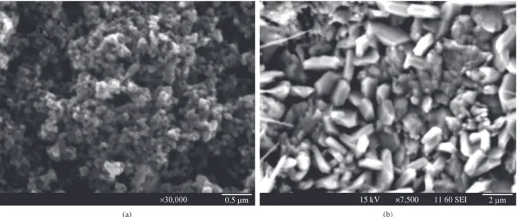 Figure 3. SEM images of the samples treated by ball milling for 12 hours. a) MgO powder; and b) MAS powder.