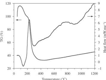 Figure 5. TG-DSC curve of the as-synthesized Mg precursor.