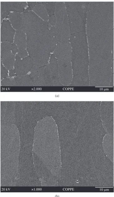 Figure 9. SEM image from sample treated at 900 °C for 240 minutes in a  SD-B.