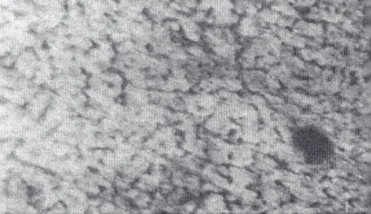 Figure  7.  Micrograph  of  welded  sample  subjected  to  voltage V 2   =  30V  processing (×100).