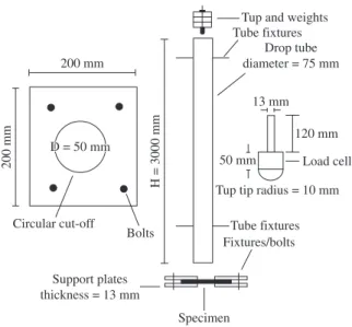 Figure 1. Schematic representation of the low velocity impact device.