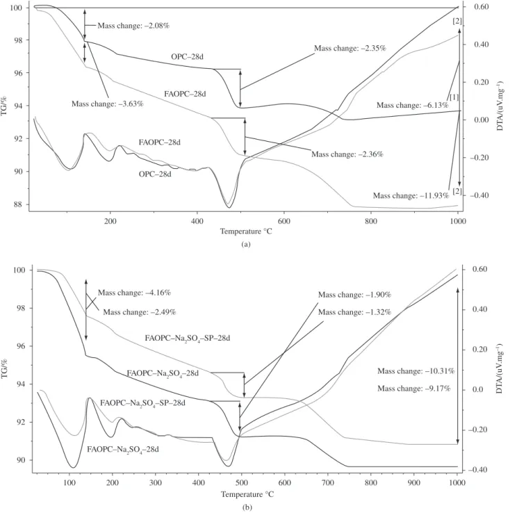 Figure 9. DTA curves of 28 days hydrated sample.