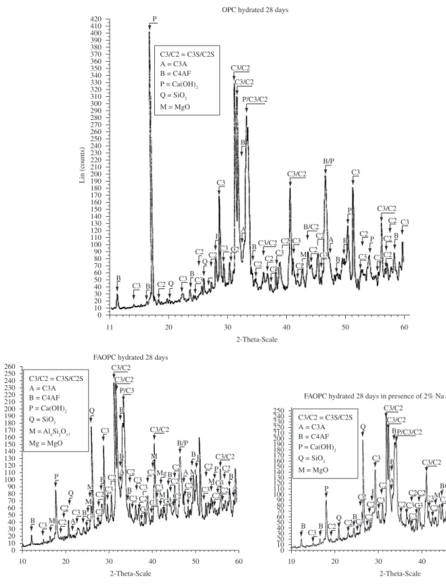 Figure 10. XRD patterns of 28 days hydrated sample.