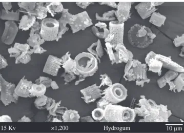 Table  3. Maximum,  minimum,  and  mean  values  for  alginate  filler  size  (µm).