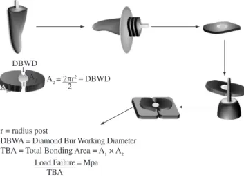 Figure 2. Bond strength values  (in MPa) to resin cements used in this study. 