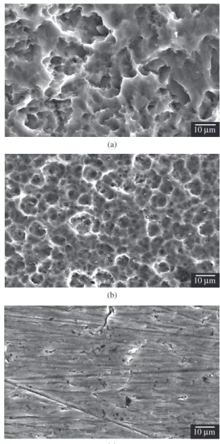 Figure 2. Micrographs of Ti obtained after 4 days immersion in the citrate  buffers containing 0.1 M NaF, magnification × 1000; a) pH 2.0; b) pH 5.0; 