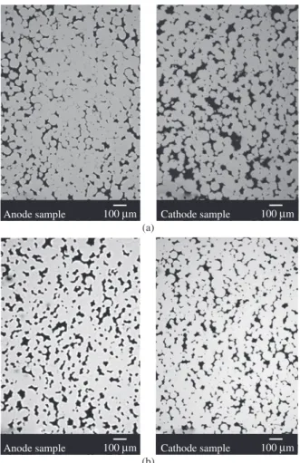 Figure 8. Micrographs of sample compacted under vibration at 600 MPa and  sintered in plasma at 1423 K for 3600 seconds