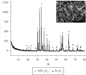 Figure 3. X-ray diffractogram and SEM micrograph of barium ferrite particles. Figure 4