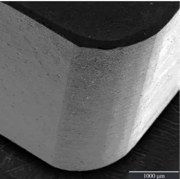 Figure 2. SEM micrograph of AlCrN coating deposited on ceramic cutting  tools.