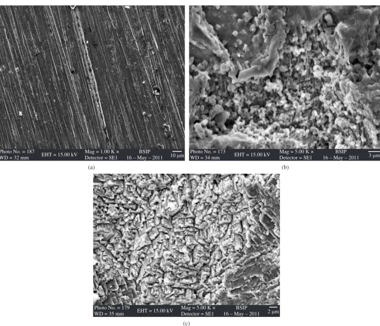 Figure 8. SEM micrographs of: a) mild steel; b) mild steel immersed in distilled water at pH 6.5 containing 100 ppm Ni ion; and c) mild steel immersed in  artiicial seawater pH 8.2 containing 100 ppm Ni ion.