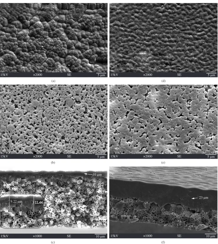 Figure 1. Morphology of membrane M-FA: a) top surface; b) bottom surface; c) cross section and morphology of membrane M-HCl; d) top surface; e) bottom  surface; and f) cross section.