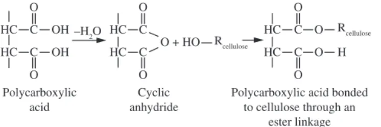 Figure 1. The mechanism of cross linking of cellulose and polycarboxylic acids.