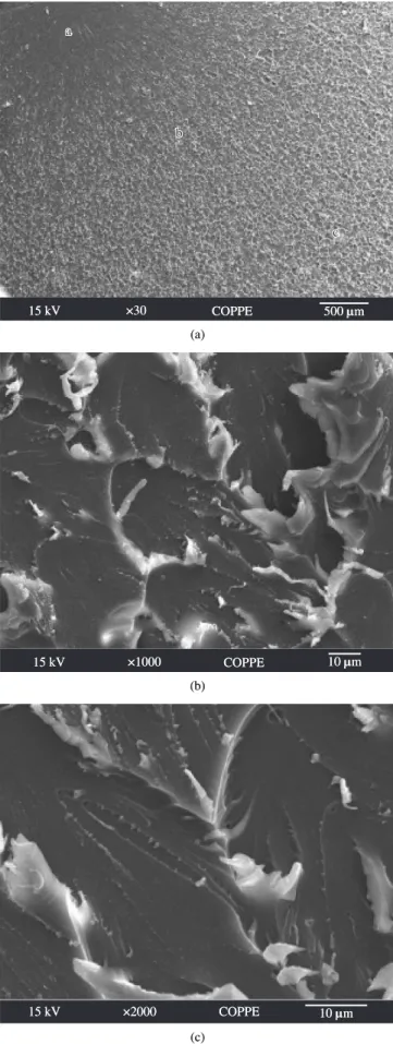 Figure 6. SEM micrographs of CTBN-modified resin at magnifications  a) 1000× and b) 2000×.
