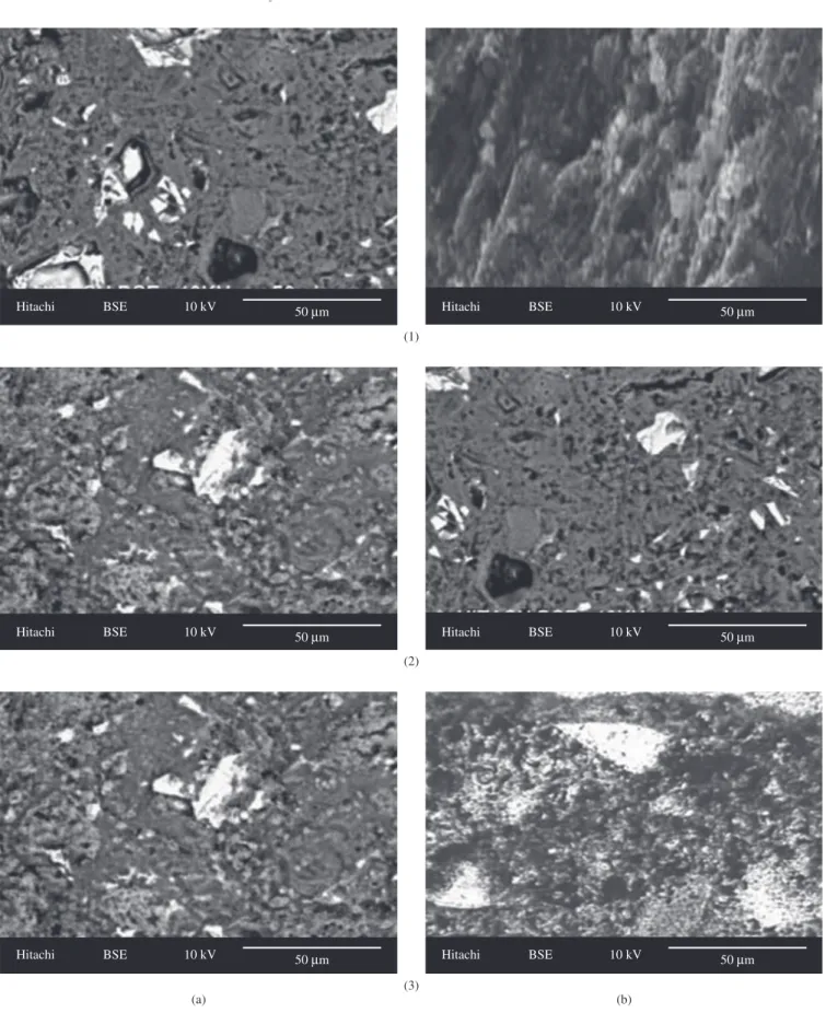 Figure 2. SEM micrographs of a) C0-GGBFS0 specimen; and b) C0-GGBFS45 specimen at 7 days (series 1), 28 days (series 2) and 90 days (series 3) of curing.