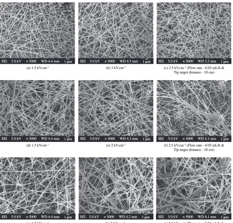 Figure 6. SEM micrographs of electrospun fibers spun from 24 wt. (%) silk fibroin.