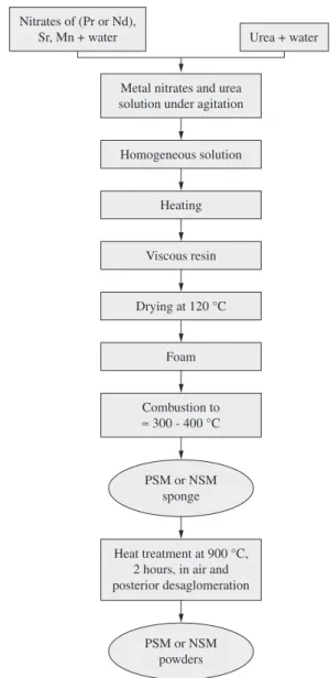 Figure 1. PSM and NSM powder flow chart for combustion synthesis.