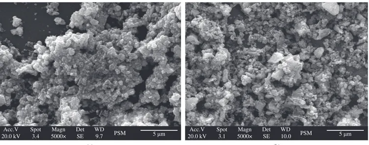 Figure 5. Scanning electron micrograph of PSM (a) and NSM (b) powders obtained by solution-combustion method.