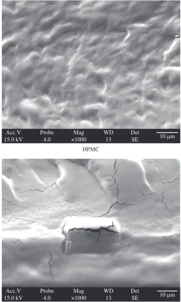 Figure 2. Curves of DSC of HPMC of PVA and their HPMC/PVA blends  with 75/25, 50/50 and 25/75 compositions.