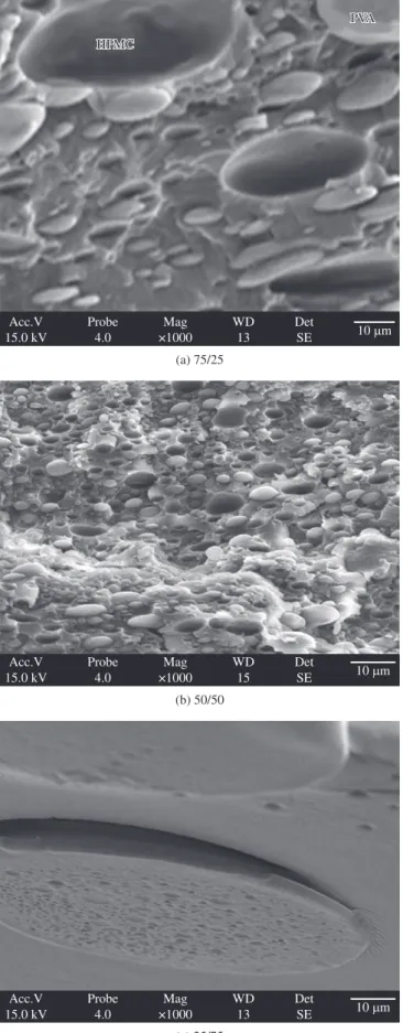 Figure 6. Micrographs for theophylline granules based on a HPMC/PVA  blend 25/75 a) 35×, b) 1000×.