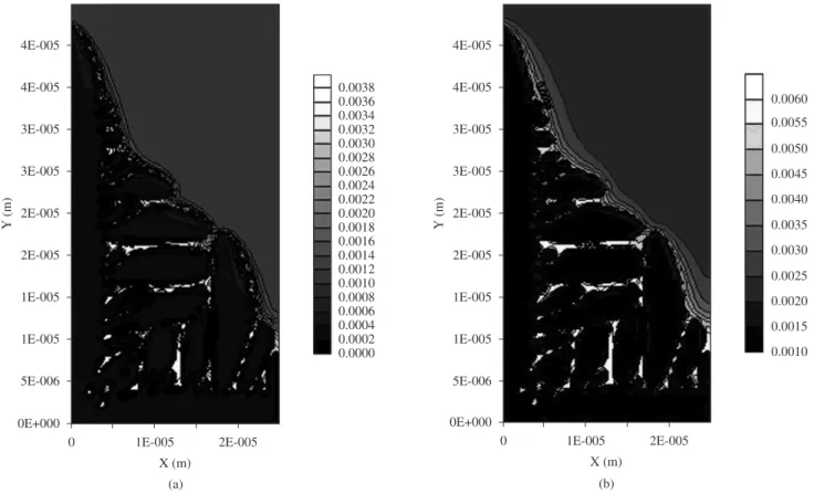 Figure 7. Solute concentration field (mole fraction) of alloy FeCB2 solidification: a) boron; and b) carbon.