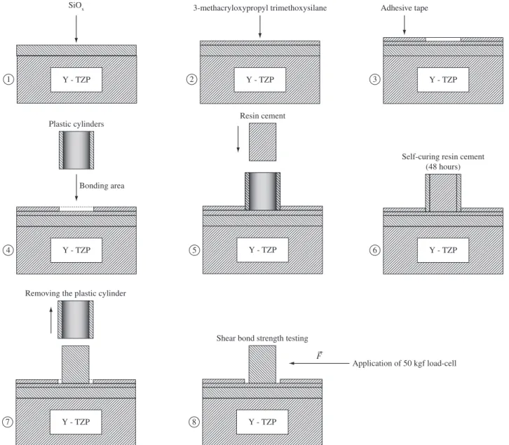 Figure 2. Steps for preparation of the samples used for shear test: 1) SiO x  films deposition on Y-TZP substrate; 2) deposition of 3-methacryloxypropyl  trimethoxysilane on SiO x  films; 3) limitation of the bonding area by an adhesive tape; 4) fixation o