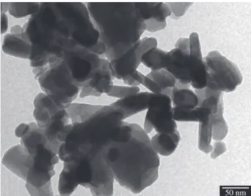 Figure 4. TEM image of the material produced at 90 °C using ZnCl 2 .