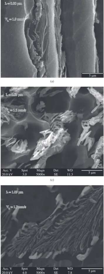 Figure 4. Typical microstructures of eutectic Al-Ni structures obtained in MEV: a) Al-1 wt