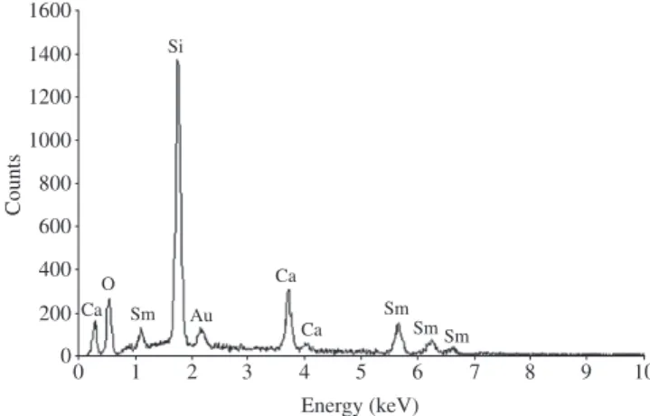 Table 4 shows the calculated activity of the expected nuclides  present on the seeds where it can be observed that they are very small  compared with those of the desired nuclides.