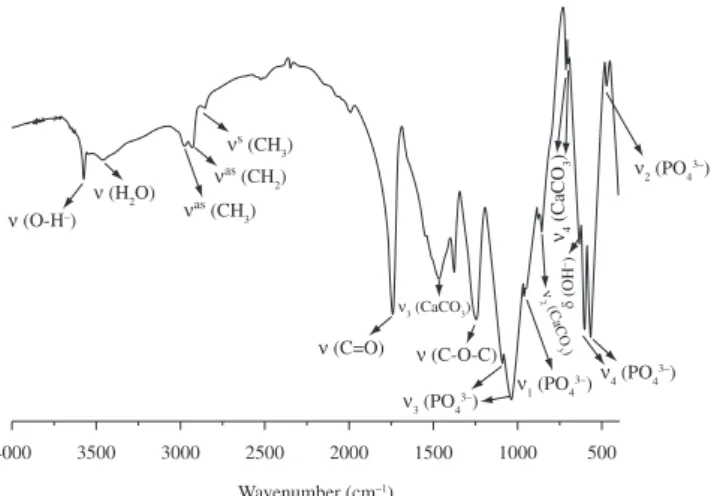 Figure 2  shows the XRD patterns of the POVIAC ® /CaCO 3 / HAP-200 composite powder. By comparison with the JCPDS fi les  No.71-2396 and No.09-0432, the diffraction peaks can be well  identifi ed as due to orthorhombic aragonite with lattice parameters  of