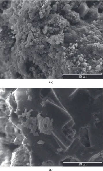 Figure 4. EDS spectrum of the composite after soaking in SBF for 30 days; 